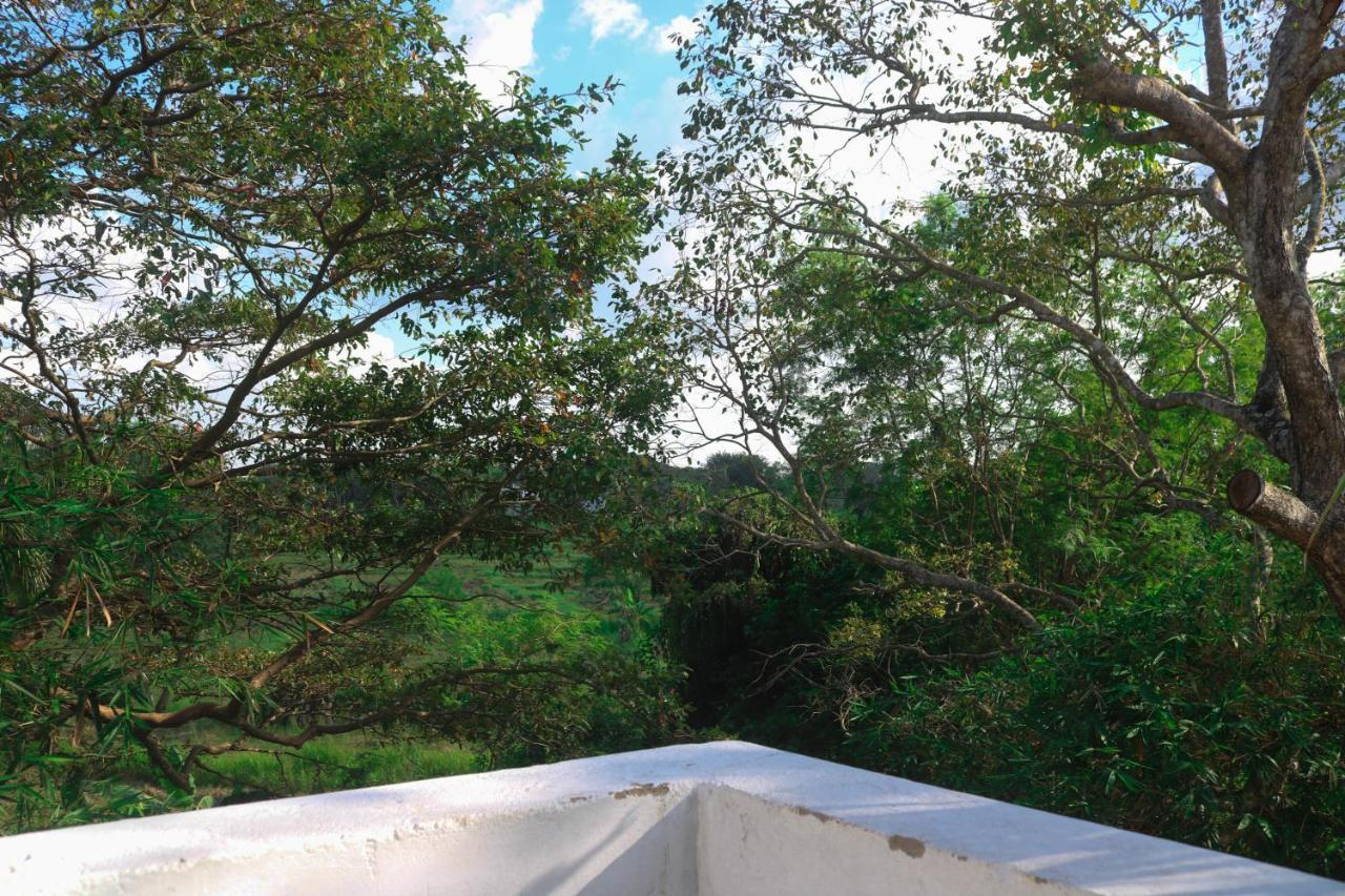 Divine Villa アヌラーダプラ エクステリア 写真